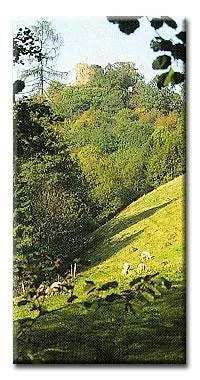 Hotel Haus Sonnenschein